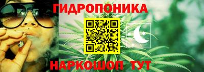 ПСИЛОЦИБИНОВЫЕ ГРИБЫ Рязань